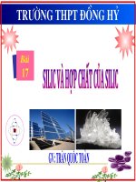 Silic va hop chat cua Silic