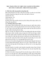 THỰC TRẠNG CÔNG TÁC CHIẾU SÁNG TẠI PHÂN XƯỞNG BÓNG ĐÈN CÔNG TY BÓNG ĐÈN