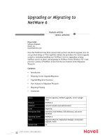 Upgrading or Migrating to NetWare 6