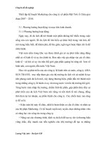 Thiết lập kế hoạch Marketing cho công ty cổ phần Mặt Trời Á Châu giai đoạn 2007-2008