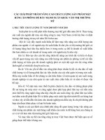 CÁC GIẢI PHÁP NHẰM NÂNG CAO CHẤT LƯỢNG SẢN PHẨM MẶT HÀNG ÁO PHÔNG ĐỂ ĐẨY MẠNH XUẤT KHẨU VÀO THỊ TRƯỜNG MỸ