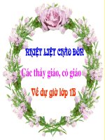 Luyen Tieng Viet- Lop 1