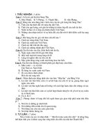 Đề thi khảo sát văn lớp 9