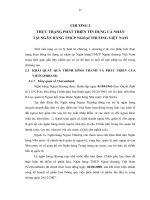 THỰC TRẠNG PHÁT TRIỂN TÍN DỤNG CÁ NHÂN