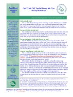 Qui Trình Chế Tạo Đồ Trang Sức Tạo Ra Mạt Kim Loại