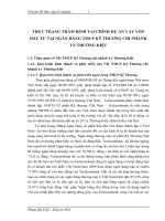 THỰC TRẠNG THẨM ĐỊNH TÀI CHÍNH DỰ ÁN VAY VỐN ĐẦU TƯ TẠI NGÂN HÀNG TMCP KỸ THƯƠNG CHI NHÁNH LÝ THƯỜNG KIỆT