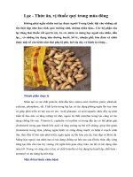 Lạc - Thức ăn, vị thuốc quý trong mùa đông