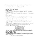 dề thi học sinh giỏi tiếng việt 2010