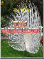 thuc hanh quan sat bot bien va thuong bien