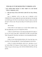 TỔNG QUAN VỀ CHI NHÁNH CÔNG TY MEKONG AUTO