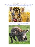 Ảnh đẹp trong tuần