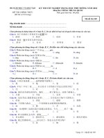Đề thi chính thức kỳ thi tốt nghiệp THPT 2010 môn tiếng Trung (Mã đề thi 369)