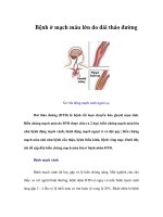 Bệnh ở mạch máu lớn do đái tháo đường