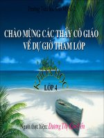 Vai trò của chất đạm và chất béo