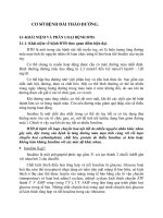 CƠ SỞ BỆNH ĐÁI THÁO ĐƯỜNG