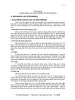 VIRUS RNA HAI SỢI (KHÔNG CÓ ÁO NGOÀI)