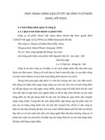 THỰC TRẠNG CHÍNH SÁCH CỔ TỨC TẠI CÔNG TY CỔ PHẦN HANEL XỐP NHỰA