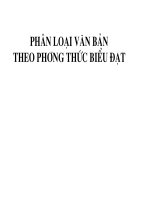 Các kiểu văn bản