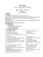 GIÁO ÁN TUẦN 16 (CKT)
