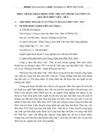 THỰC TRẠNG HOẠT ĐỘNG TIÊU THỤ SẢN PHẨM TẠI CÔNG TY QUE HÀN ĐIỆN VIỆT