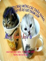 sinh sản sinh dưỡng tự nhiển