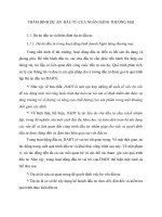 THẨM ĐỊNH DỰ ÁN  ĐẦU TƯ CỦA NGÂN HÀNG THƯƠNG MẠI