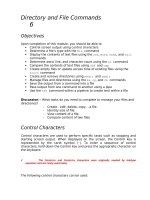 Directory and File Commands