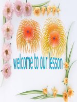 lesson 11 - applying ideas - 3 years