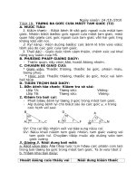 HINH7(TIET18)CUC CHUAN