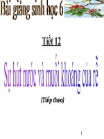 hut nuoc va muoi khoang