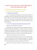 CƠ SỞ LÝ LUẬN VỀ ĐÀO TẠO VÀ PHÁT TRIỂN ĐỘI NGŨ GIÁO VIÊN TRƯỜNG DẠY NGHỀ