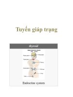 Tuyến giáp trạng