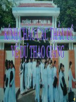 Sử dụng tiếng việt