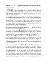 NHỮNG VẤN ĐỀ LÍ LUẬN VỀ XUẤT KHẨU SỨC LAO ĐỘNG