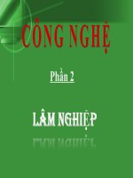 bài 22 vai tro và nhiêm vụ trong rưng