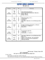 Tuần 11 lớp 2
