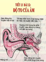 Tiết 13 Bài 12 Độ  to cua am.ppt