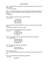 Câu hỏi và đáp án kiến thức tổng hợp về sinh học_Câu hỏi 19