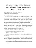 TÍN DỤNG VÀ CHẤT LƯỢNG TÍN DỤNG TRUNG DÀI HẠN CỦA NHTM TRONG NỀN KINH TẾ THỊ TRƯỜNG