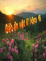 Lí 6-Lực đàn hồi