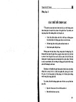 Lập trình tiến hóa trí tuệ nhân tạo - Các chủ đề chọn lọc