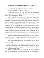 PHÂN TÍCH TÌNH HÌNH LAO ĐỘNG CỦA CÔNG TY