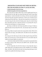 ĐỊNH HƯỚNG VÀ GIẢI PHÁP PHÁT TRIỂN THỊ TRƯỜNG TIÊU THỤ SẢN PHẨM CỦA CÔNG TY CAO SU SAO VÀNG