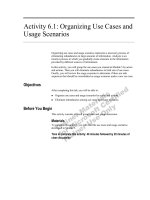 Activity 6.1: Organizing Use Cases and Usage Scenarios