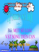 loai vat song tren can