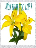 bai o nhiem moi truong