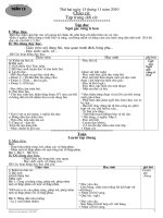 GIAO AN TUAN 13.2010.doc