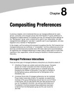Compositing Preferences