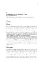 Biodegradable Elastic Hydrogels for Tissue Expander Application