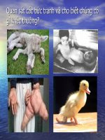 Bài 21. ĐỘT BIẾN GEN